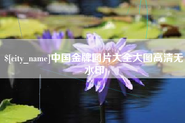 湖北中国金牌图片大全大图高清无水印