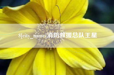 湖北消防救援总队王星
