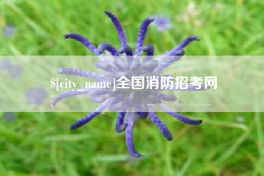 湖北全国消防招考网