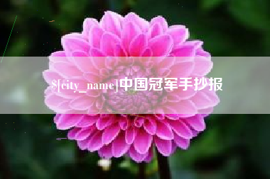 湖北中国冠军手抄报