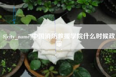 湖北中国消防救援学院什么时候政审