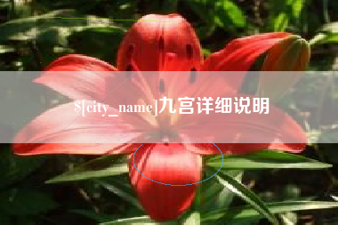 湖北九宫详细说明