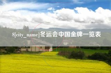 湖北冬运会中国金牌一览表
