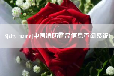 湖北中国消防产品信息查询系统1