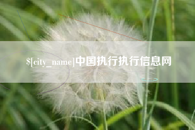 湖北中国执行执行信息网