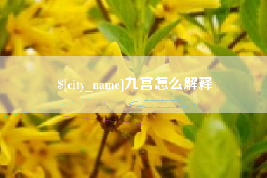 湖北九宫怎么解释