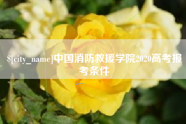湖北中国消防救援学院2020高考报考条件