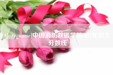 湖北中国消防救援学院2021年招生分数线