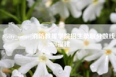 湖北消防救援学院招生录取分数线2020福建