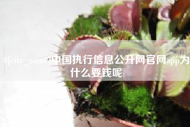 湖北中国执行信息公开网官网app为什么要钱呢