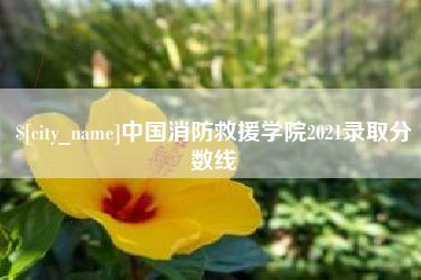 湖北中国消防救援学院2021录取分数线