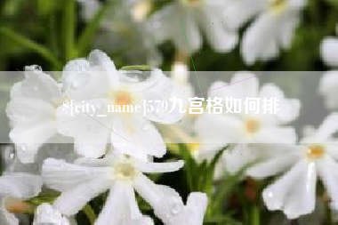湖北579九宫格如何排