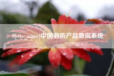 湖北中国消防产品查询系统