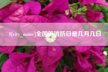 湖北全国的消防日是几月几日