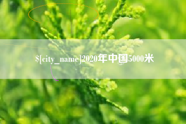 湖北2020年中国5000米