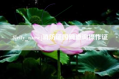 湖北消防证国网查询操作证