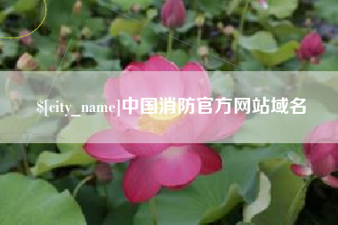 湖北中国消防官方网站域名