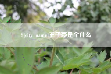 湖北王子豪是个什么