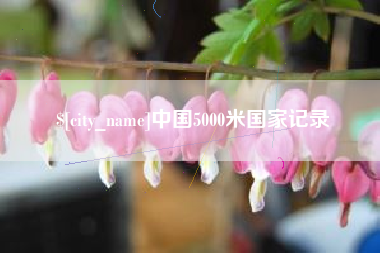 湖北中国5000米国家记录
