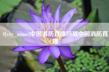 湖北中国消防直播回放中国消防直播