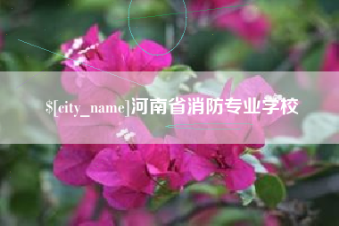湖北河南省消防专业学校