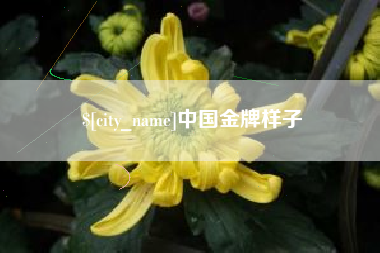 湖北中国金牌样子
