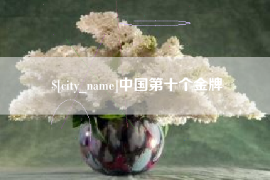 湖北中国第十个金牌