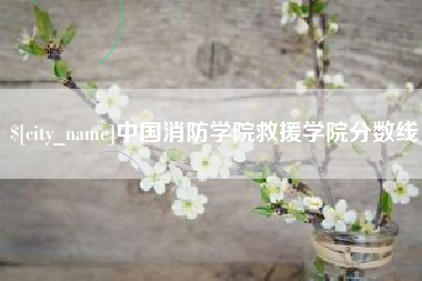 湖北中国消防学院救援学院分数线