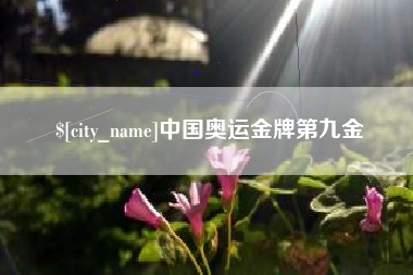 湖北中国奥运金牌第九金