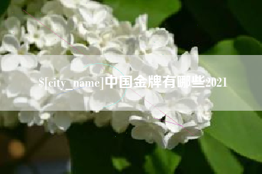 湖北中国金牌有哪些2021