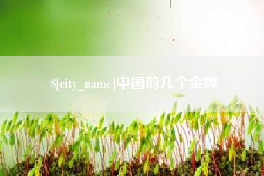湖北中国的几个金牌