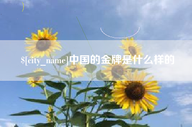 湖北中国的金牌是什么样的