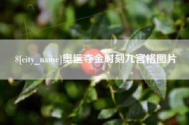 湖北奥运夺金时刻九宫格图片
