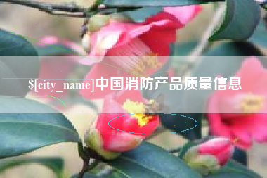 湖北中国消防产品质量信息