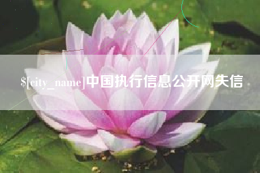 湖北中国执行信息公开网失信