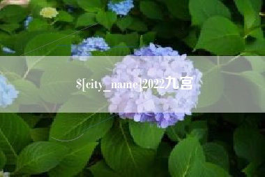 湖北2022九宫