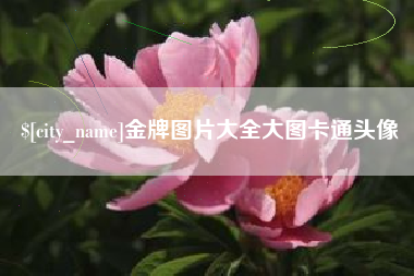 湖北金牌图片大全大图卡通头像