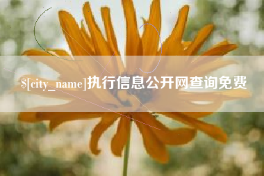 湖北执行信息公开网查询免费