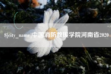 湖北中国消防救援学院河南省2020